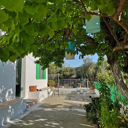 Maison De Village Au Calme - Alonia Village House Ψίνθος Εξωτερικό φωτογραφία