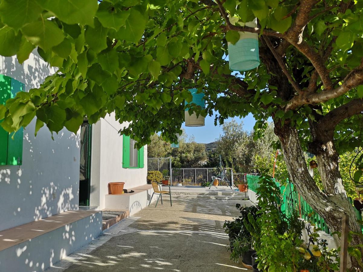 Maison De Village Au Calme - Alonia Village House Ψίνθος Εξωτερικό φωτογραφία