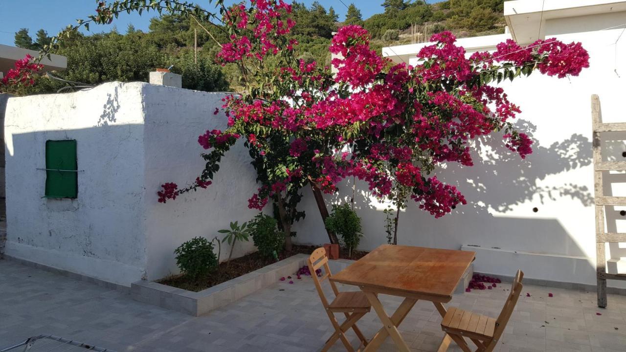 Maison De Village Au Calme - Alonia Village House Ψίνθος Εξωτερικό φωτογραφία